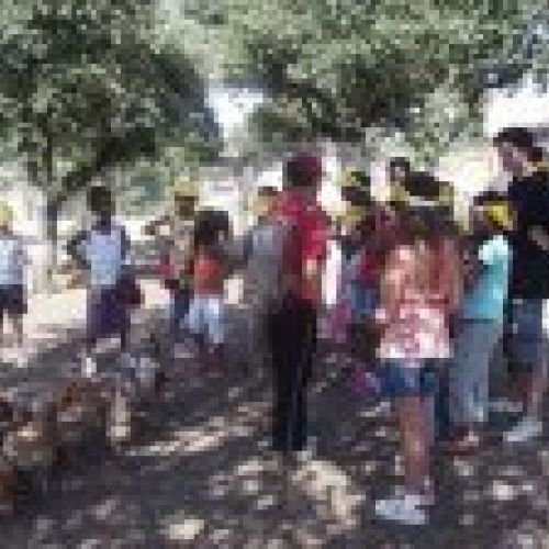 Estancias de dos a cinco días