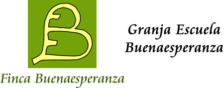 basico1