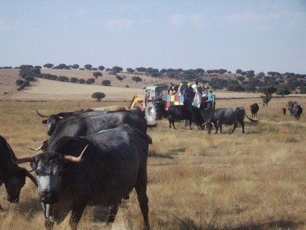 Familias y grupos