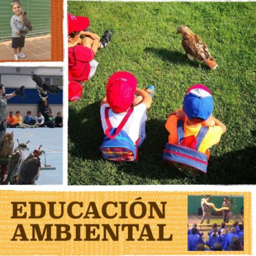 educacion ambiental
