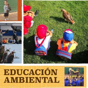 educacion ambiental