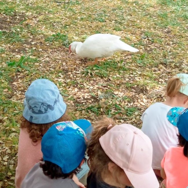 Granja Escuela para infantil