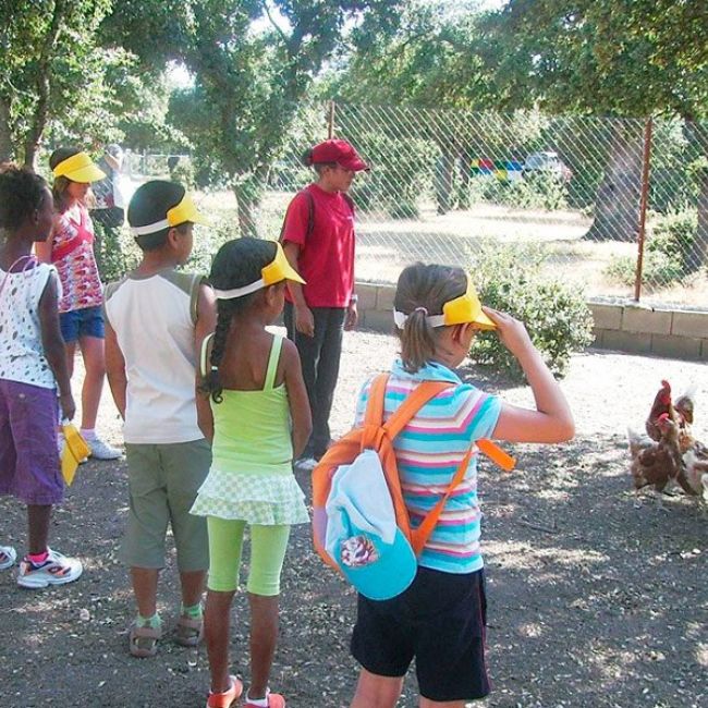 Visita para AMPAs y Asociaciones a la Granja