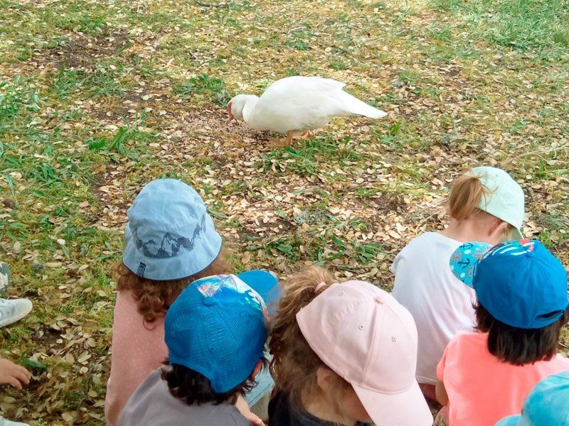 Granja Escuela para infantil