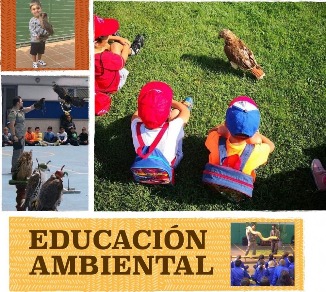educacion ambiental