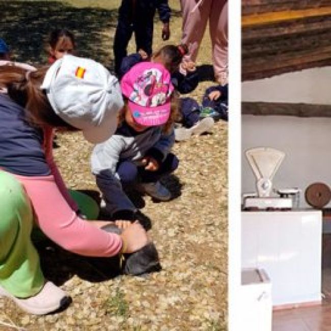 Granja escuela en Salamanca