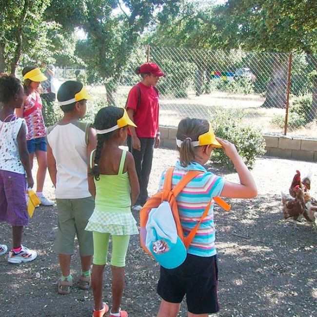 Visita para AMPAs y Asociaciones a la Granja