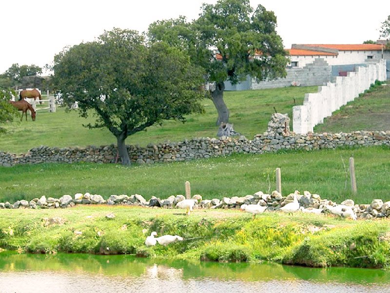 Finca con caballos y patos Granja Escuela BuenaEsperanza